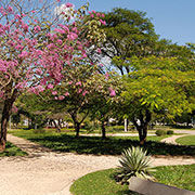 Praça Sesquicentenário